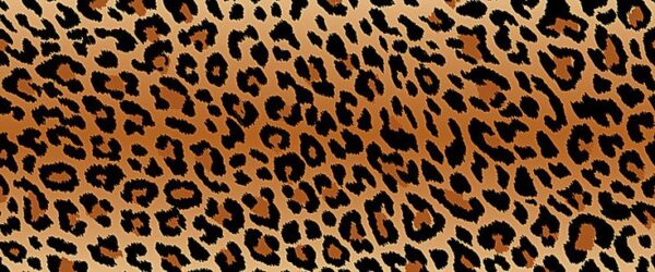 Женские ботильоны Loewe чёрного цвета, артикул 349045