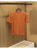 Мужская футболка Hermes оранжевого цвета, артикул 344002