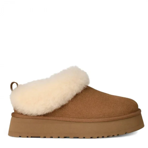 Угги UGG Platform Tazelle